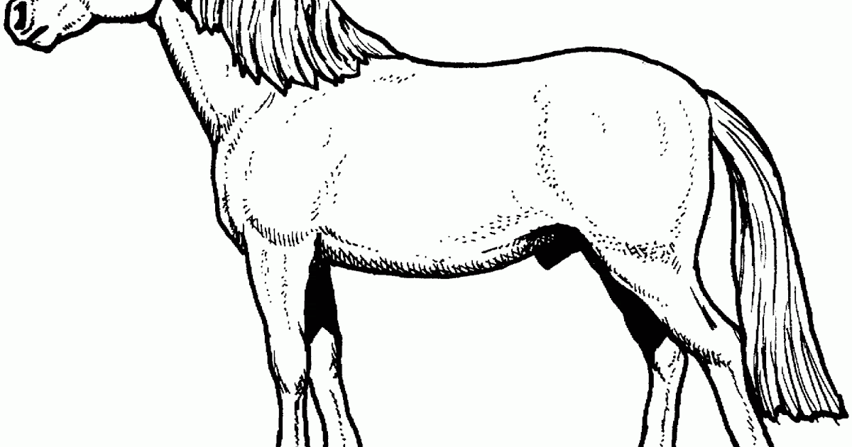 pferde malvorlagen ausdrucken