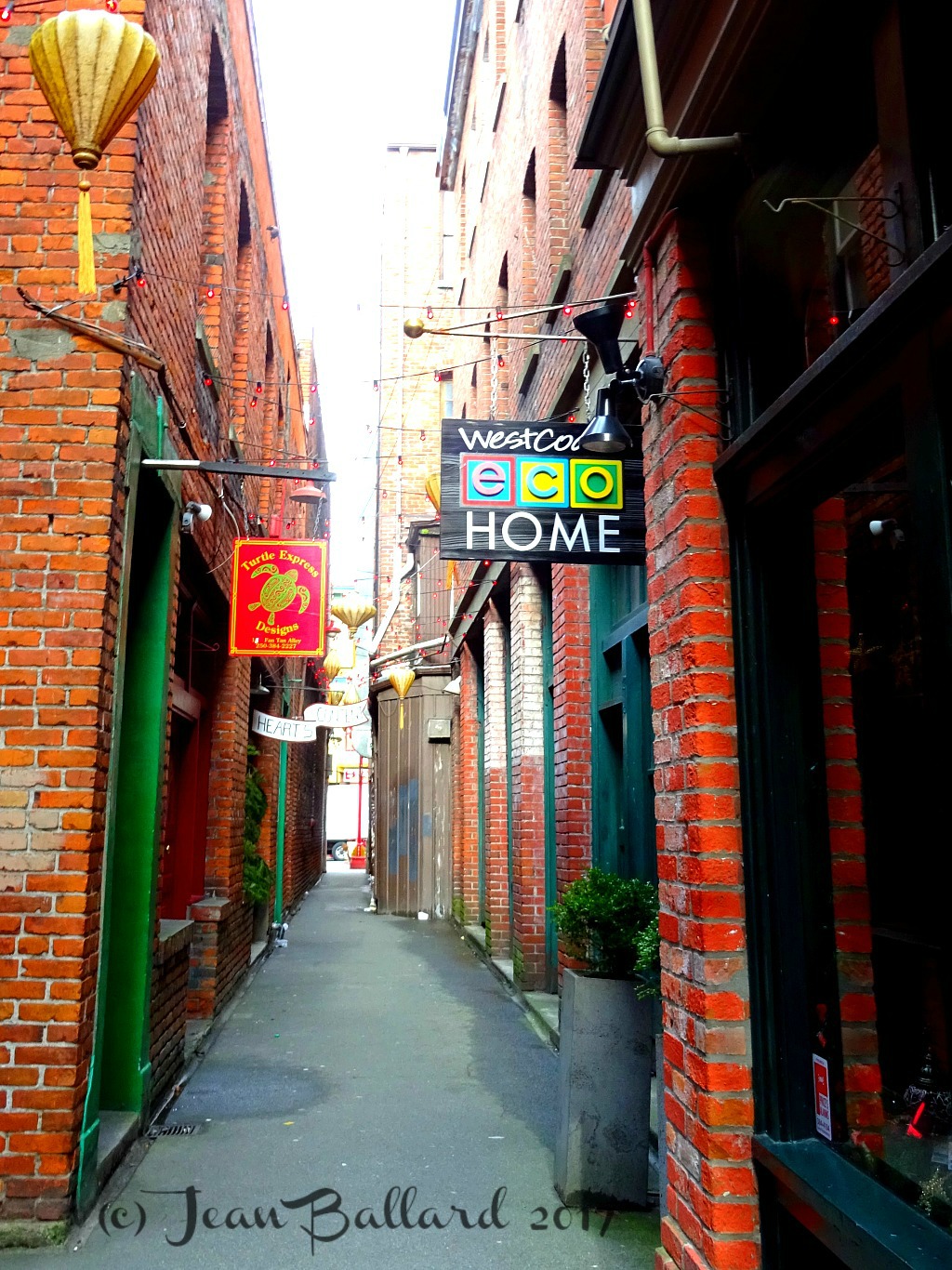 My Life With The Critters Fan Tan Alley my-life-with-the-critters-fan-tan-alley