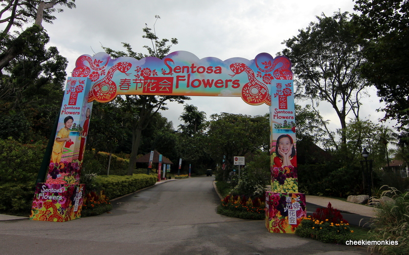 Cheekiemonkies Singapore Parenting & Lifestyle Blog Sentosa Flowers