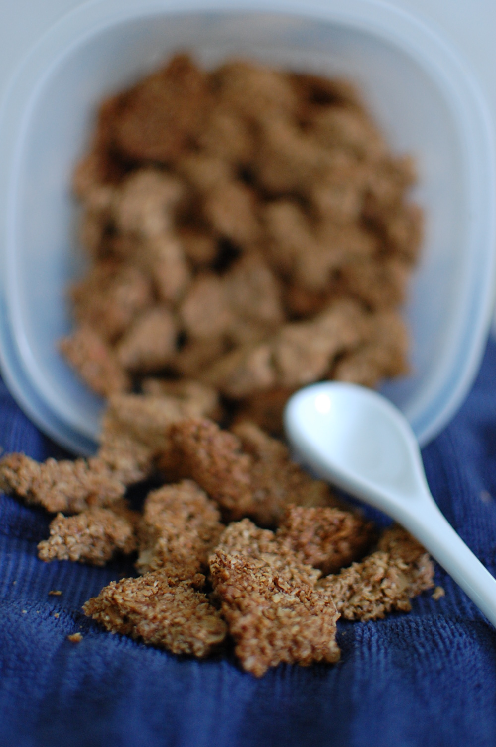 Food, Fun & Life Cracklin' Oat Bran Copycat Granola
