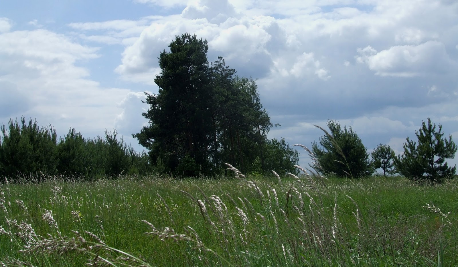 Tu i tam Skowronno Górne (czerwiec 2006)