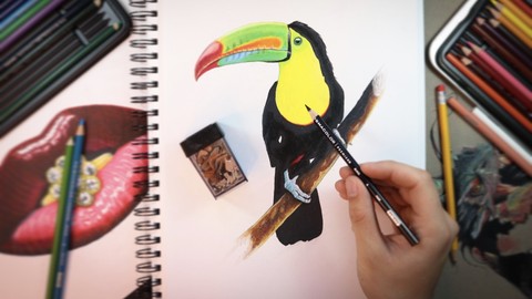 Udemy Coupon Sites The Ultimate Photorealistic Drawing Course