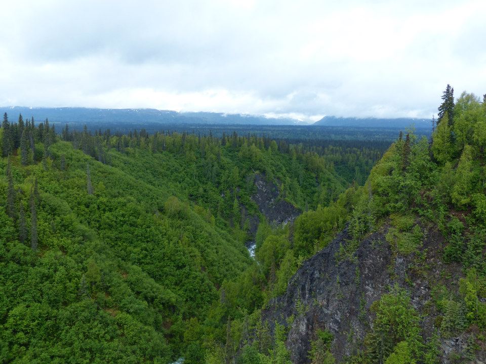 Rick and Kathy's Epic Alaska Adventure 2014 Day 19 Cantwell, AK to