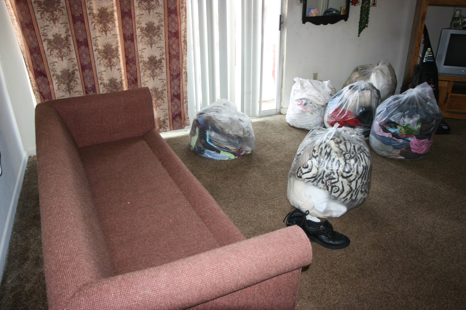Do Bed Bugs Hide In Garbage Bags Hanaposy