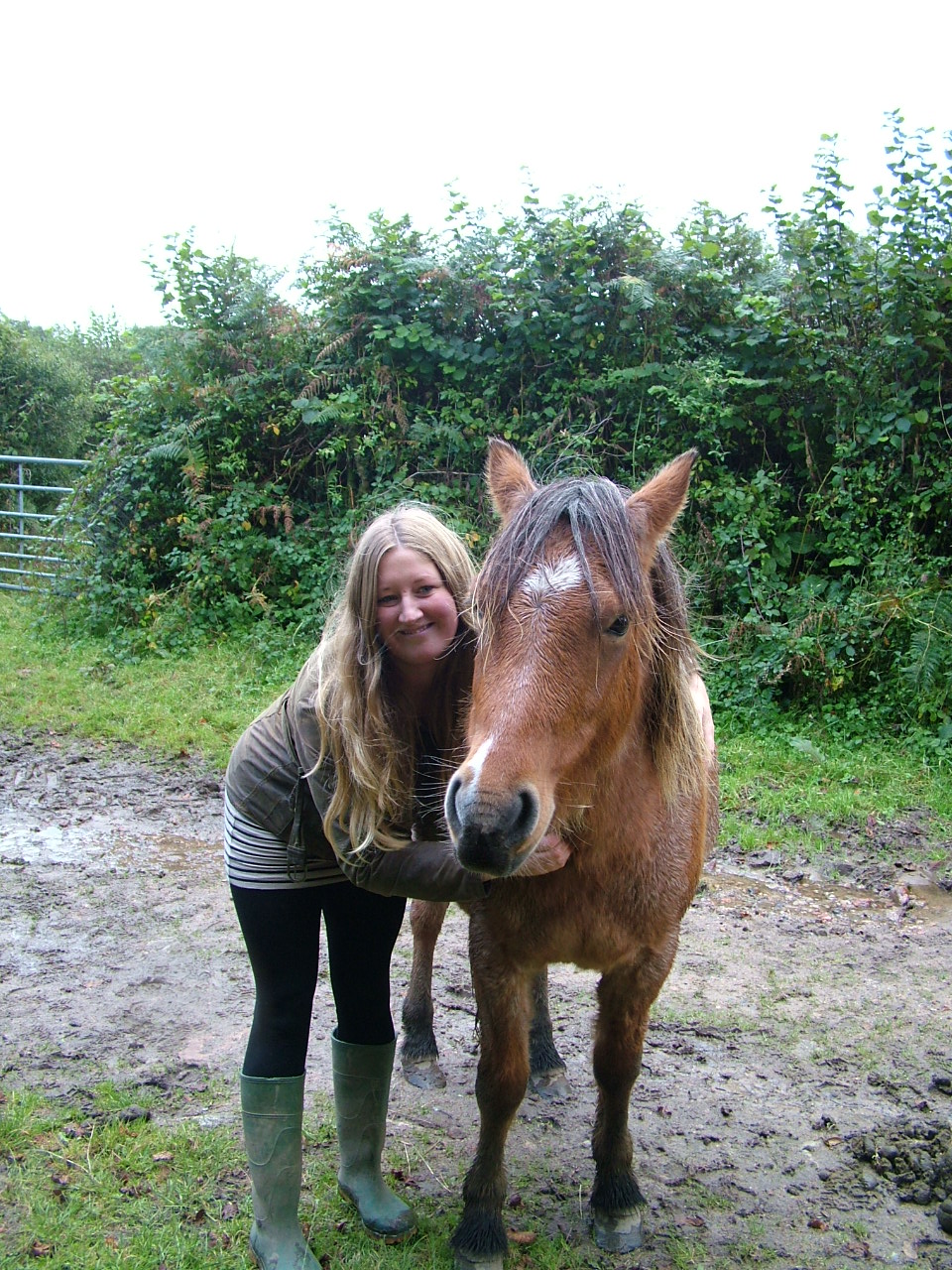 Dartmoor Pony Training Centre Rehoming Blog October 2012
