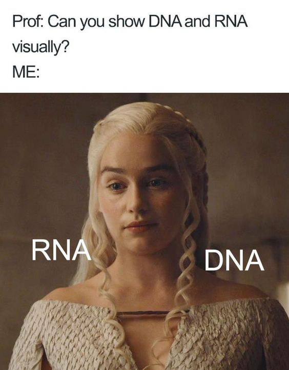 Today Science Humor 15 | DNA and RNA Visually