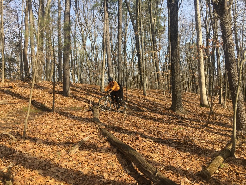 Cyclesnack Rye Street Park, South Windsor