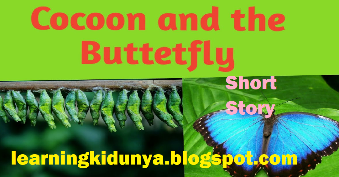 BUTTERFLY AND COCOON STORY LearningKiDunya