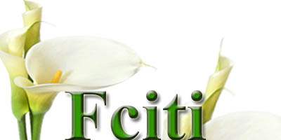 Flowerciti Blog
