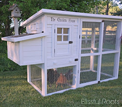 chicken coop diy yourself projects plans coops chickens cutest roots reveal maniac craft build backyard pen pallet designs dove blissful