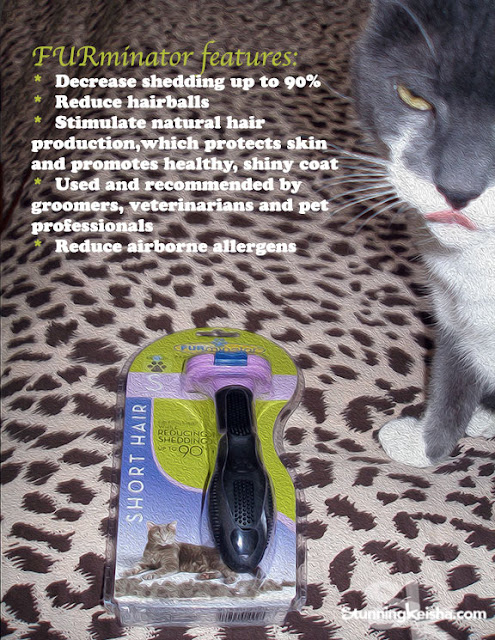How to Bond With Your Cat Using the FURminator #ChewyInfluencer