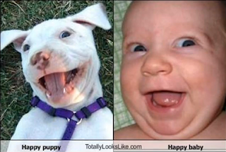 funny baby happy