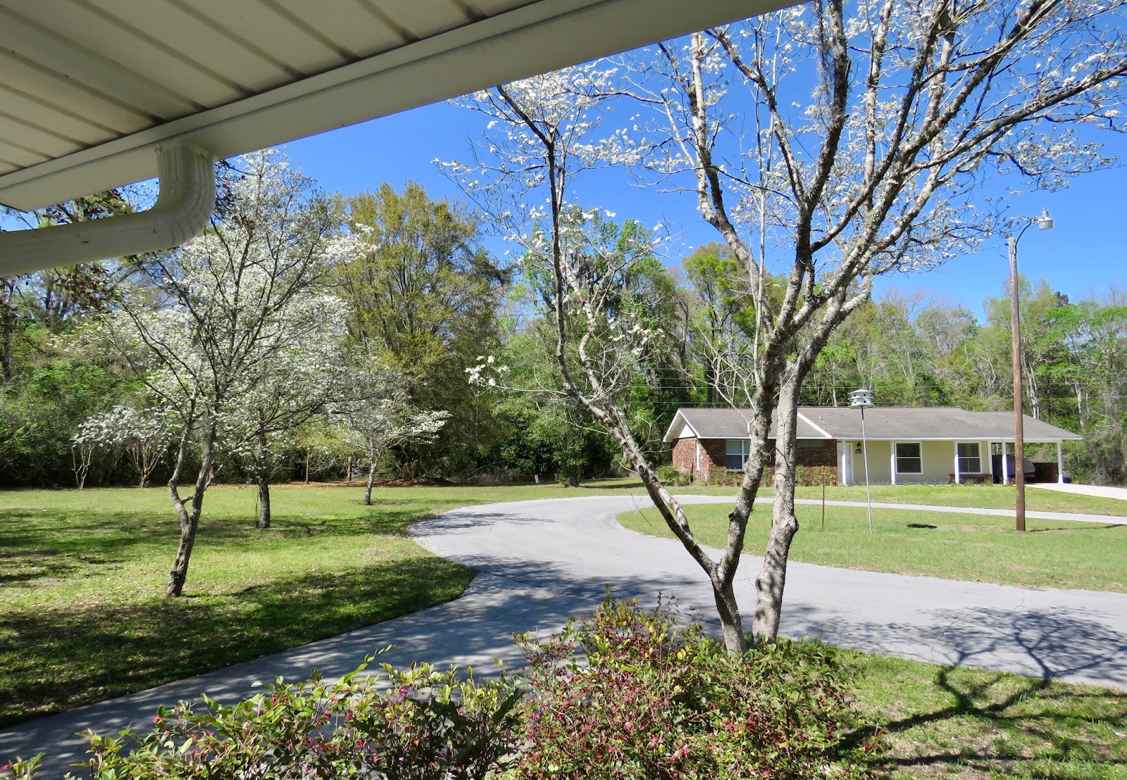 Where's Liz? 2017 Dowling Park, FL...where I'll retire after RVing