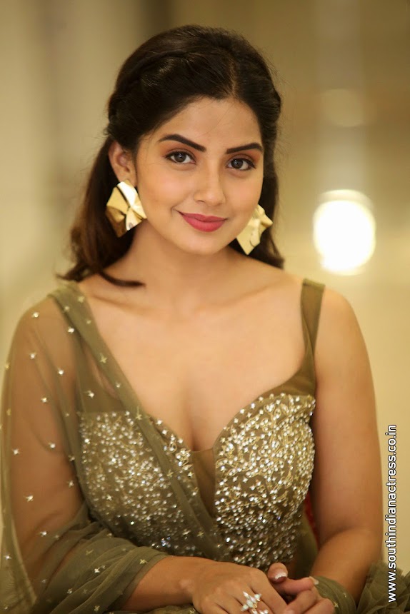 Kashmira Pardeshi at Narthanasala Pre-Release