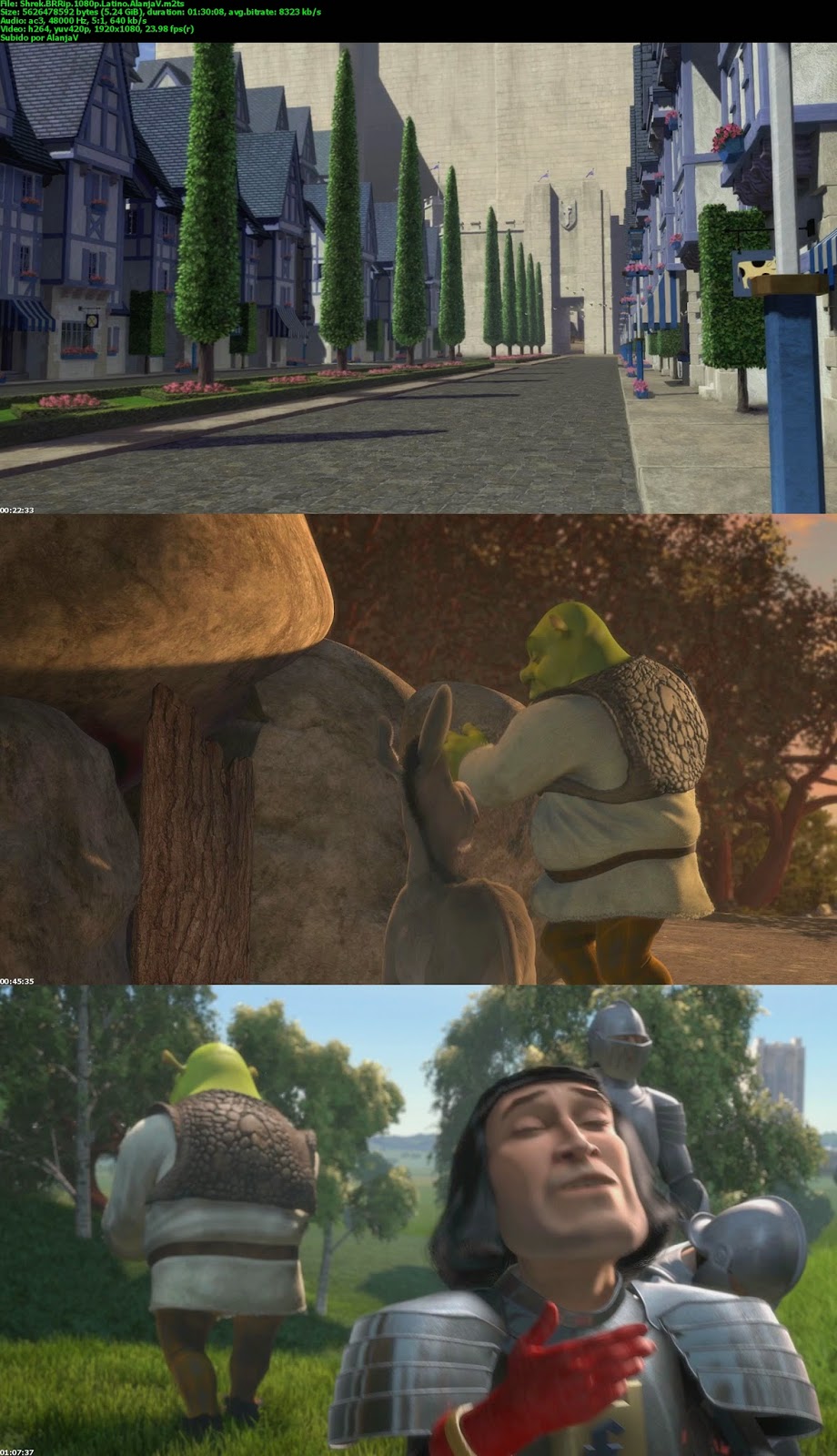Shrek.BRRip.1080p.Latino.AlanjaV_s.jpg