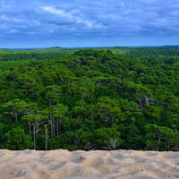 vue sur la forêt depuis la dune du Pilat