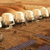 Επιλέχθηκαν οι πρώτοι υποψήφιοι για τη δημιουργία ανθρώπινης αποικίας στον Άρη