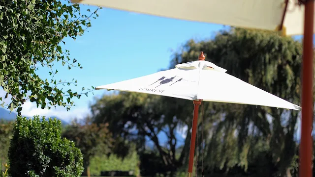 Blenheim wineries: umbrella for shade at Forrest Wines