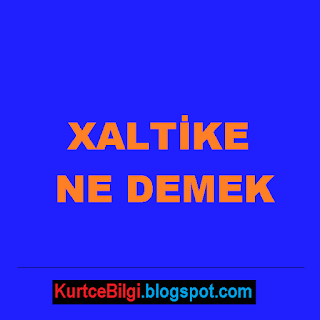 Kurtce Cumle Ceviri