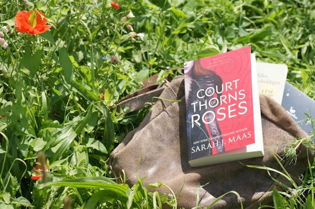A Court of Thorns and Roses von Sarah J. Maas