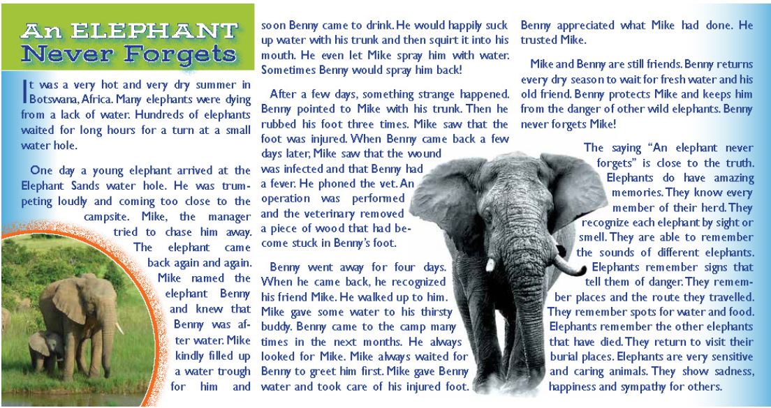 Petersham Bible Book & Tract Depot An Elephant Never