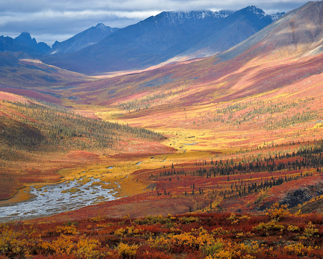 North Klondike Valley Yukon - Canada