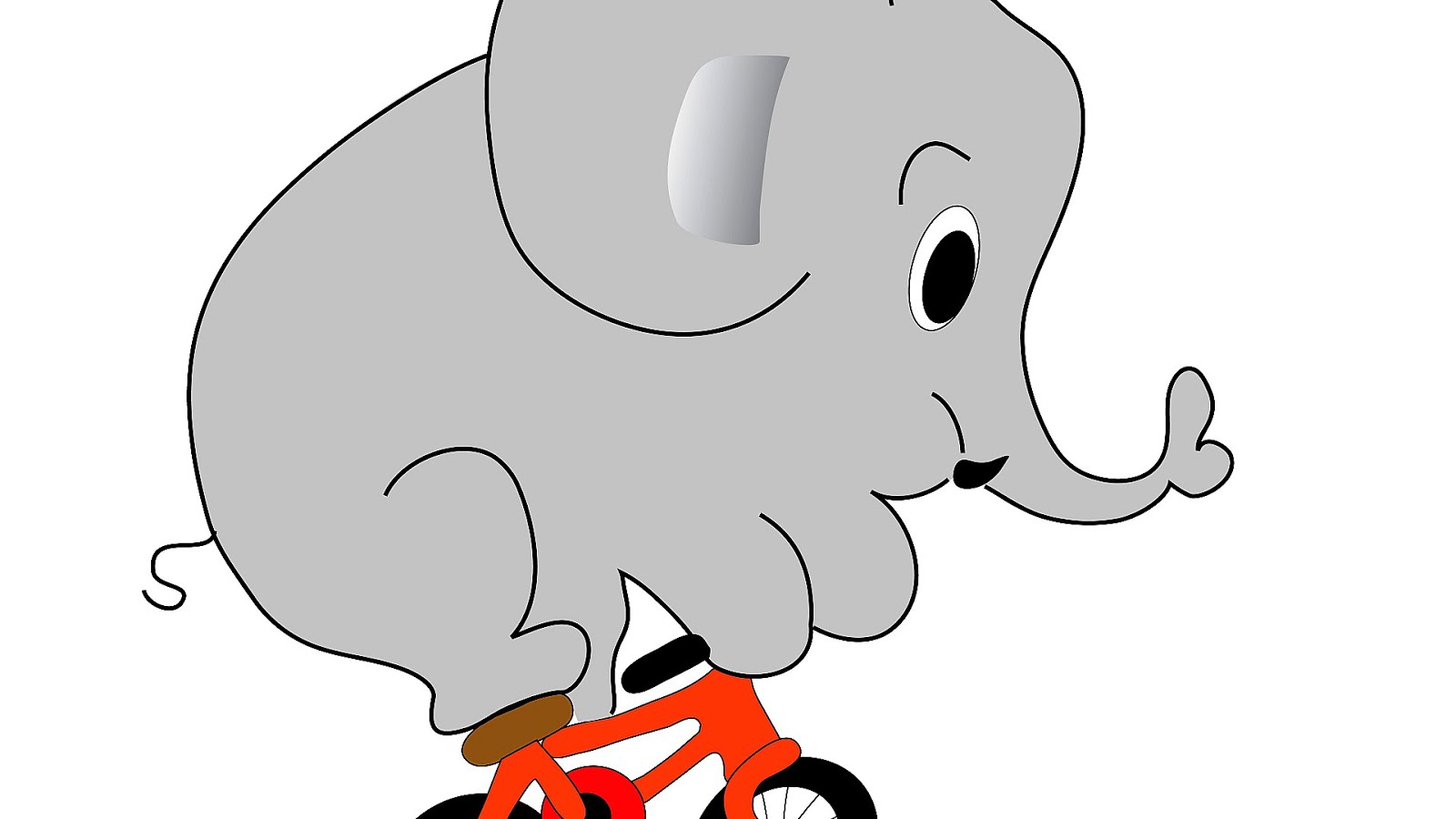 Elephant Bike Insurance Bikes Choices