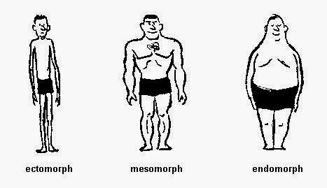 3 tipe bentuk tubuh manusia untuk membangun tubuh ideal,tubuh ideal,ectomorph.endomorpf,mesomorfp