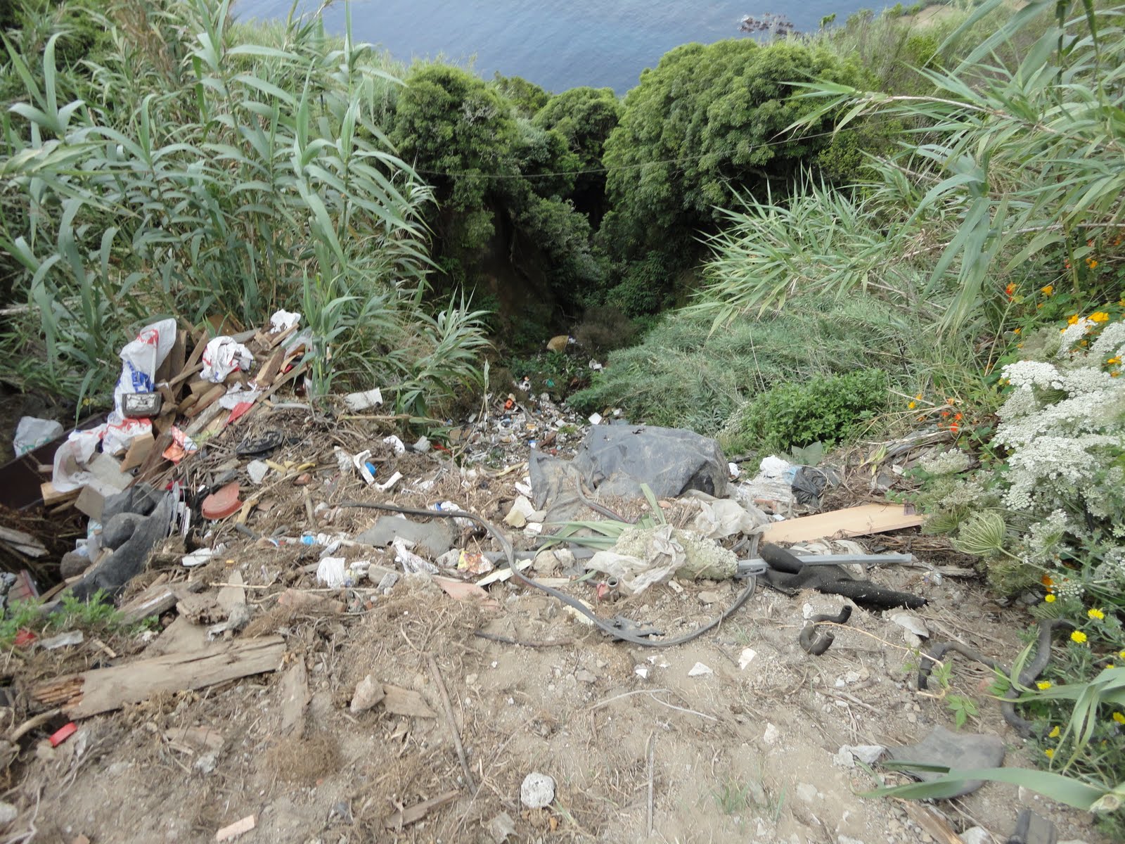 TERRA LIVRE Lixeira junto à Vigia das Feteiras (São Miguel)