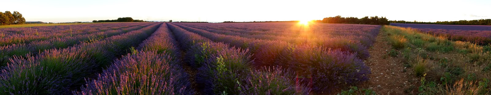 Provence