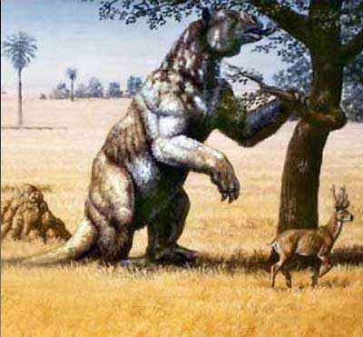 prehistoria de argentina Megatherium