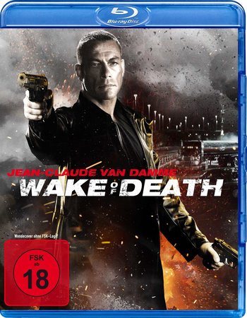 Wake of Death (2004) Dual Audio Hindi 720p BluRay x264 1GB Full Movie Download