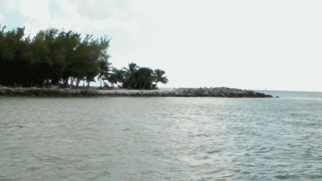 Key West schnorcheln, Florida