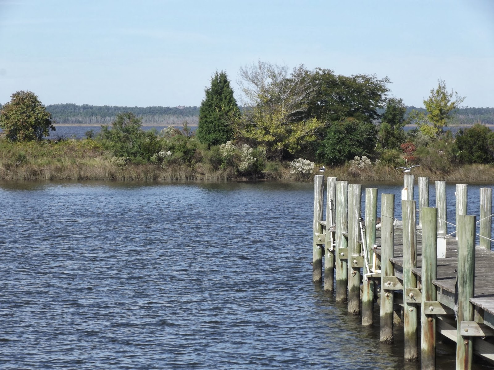 Keeping Track of the Jones' Mississippi, Bay St. Louis Friday