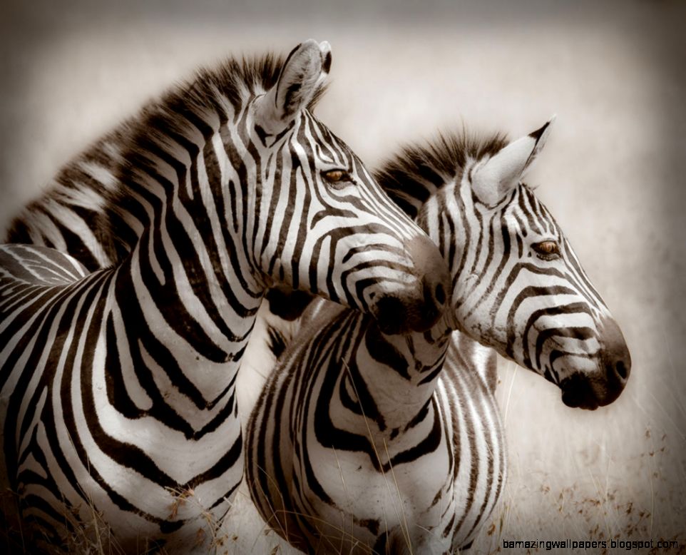 Bob Demchuk  Gallery on The Green  Pawling NY