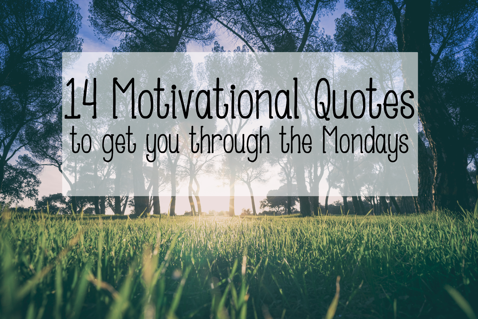 Motivational Quotes Gym Best Motivational Quotes 2020