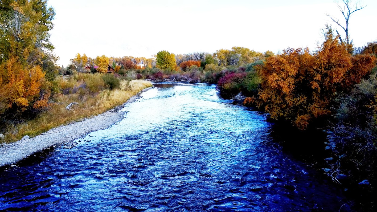 Fly Fishing the Big Lost River