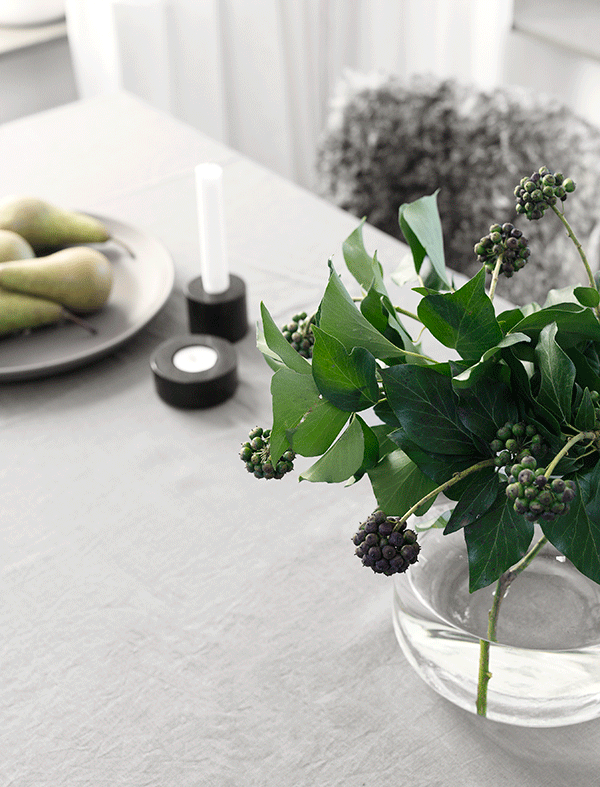 Kajtorget ticks right boxes