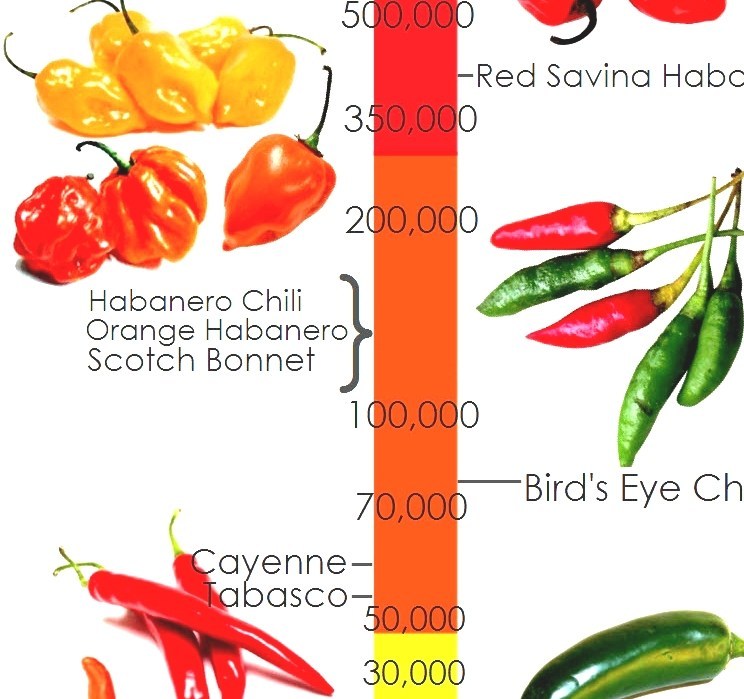 Capsaicin Hot Pepper Diet