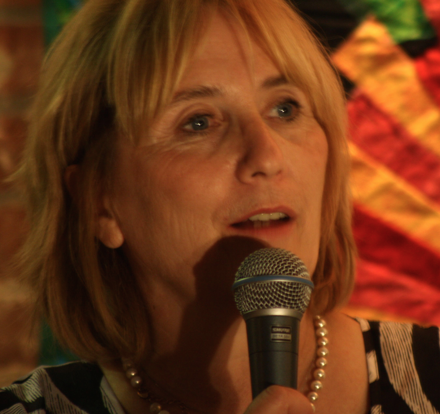 andrealovett: South Shore Story Slams ,Turtle Swamp Brewery in JP Story ...