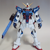 Custom Build: RG 1/144 Destiny Gundam "C"