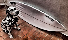 GUAYOTA SURFBOARDS (Gran Canaria)