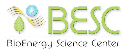 The BioEnergy Science Center