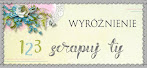 wyróżnienie