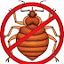 Bed Bug Traps Bed Bug Control Cdc And Epa Announcement