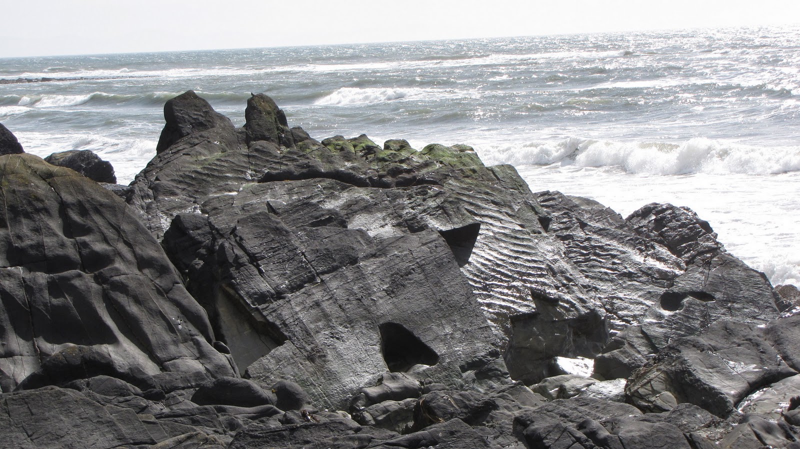 The Glebe Blog: Machars Coastline