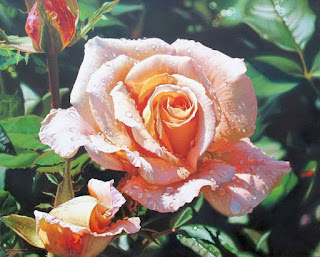 rosas-flores-pintura