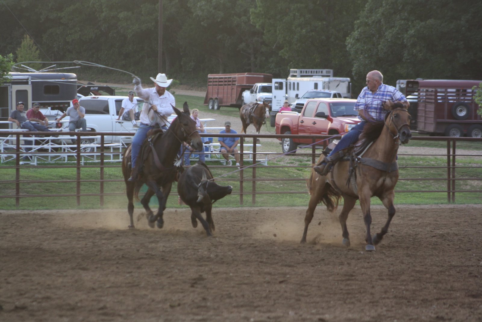 PairADice Mules Round Robin Roping