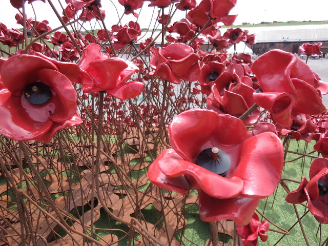 Poppies: Wave at Fort Nelson