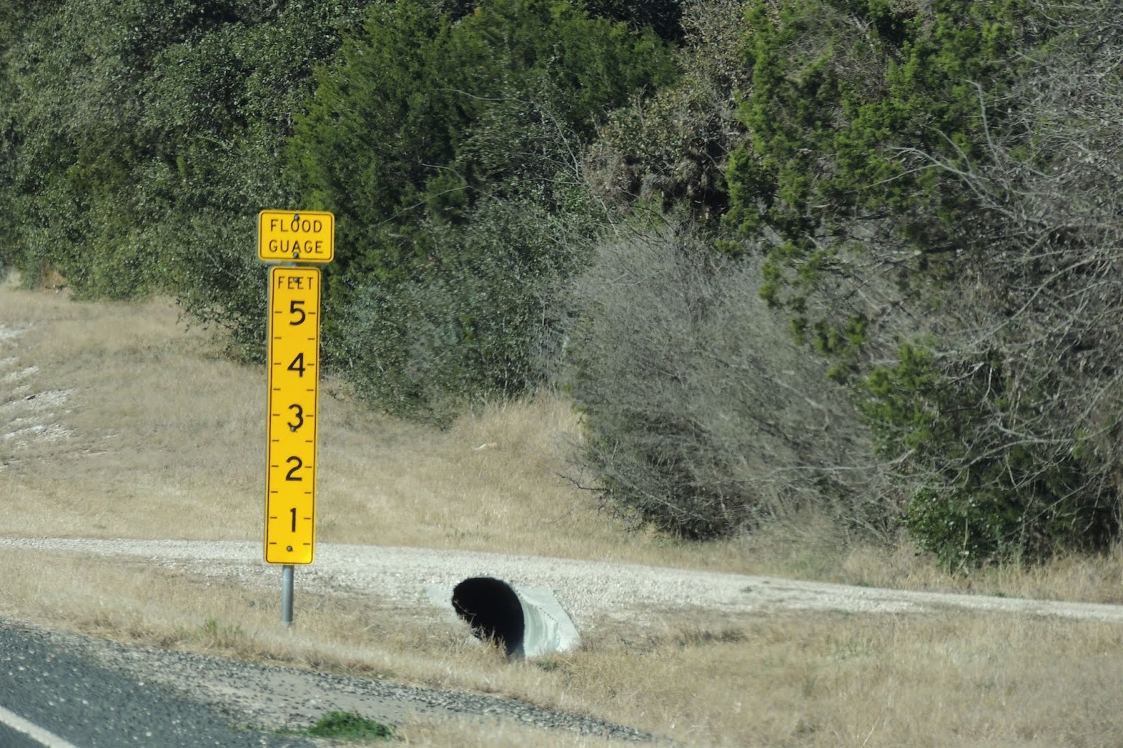 River Road Ramblings January 2019